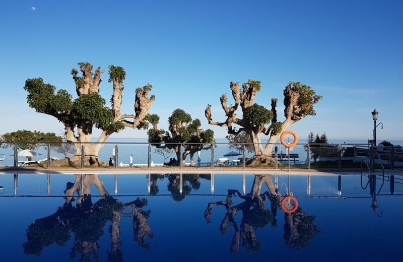 darling-pool-highlights-2382009-1024x768