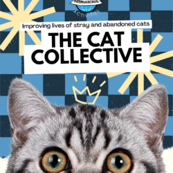 Cat Collective