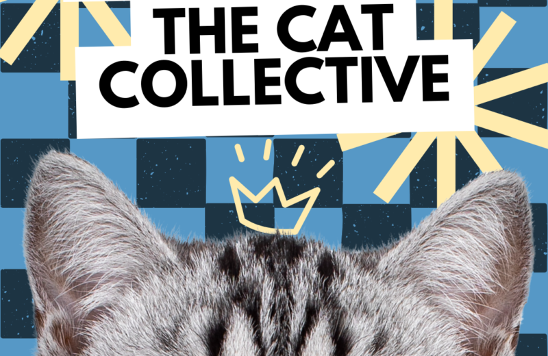 cat-collective