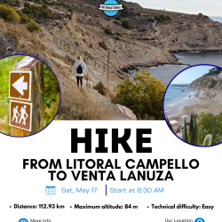 Activities weekly smm (3)